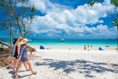 Whitehaven Beach Half-Day Cruises - Accommodation Brisbane 0