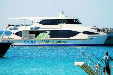 Whitehaven Beach Half-Day Cruises - Accommodation Brisbane 10