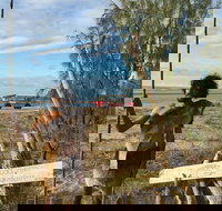 Goolimbil Walkabout Indigenous Experience in the Town of 1770 - Accommodation Brisbane