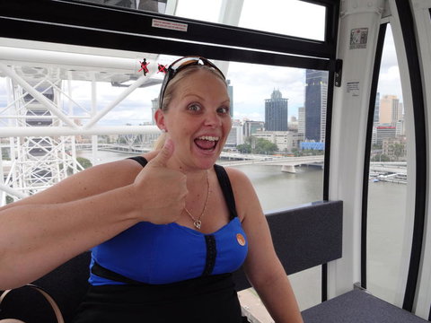 Brisbane Sightseeing Tour And Brisbane River Cruise - Accommodation Brisbane 4
