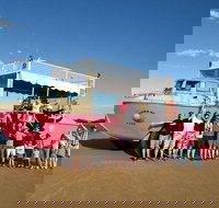 Town of 1770 Afternoon Cruise - Accommodation Brisbane