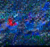 Infinity Attraction in Queensland Admission Ticket - Accommodation Brisbane