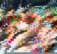 1770 CASTAWAY SURVIVOR 3 Day 2 Night Island Adventure Tour - Accommodation Brisbane