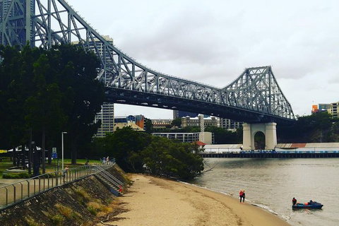 Brisbane River Guided Day Tour By Kayak - Accommodation Brisbane 1