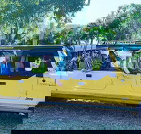 3.5 hour Eco Tour - Accommodation Brisbane