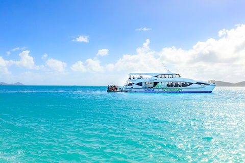 Whitehaven Beach And Daydream Island Cruise - Accommodation Brisbane 3