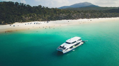 Whitehaven Beach And Daydream Island Cruise - Accommodation Brisbane 7