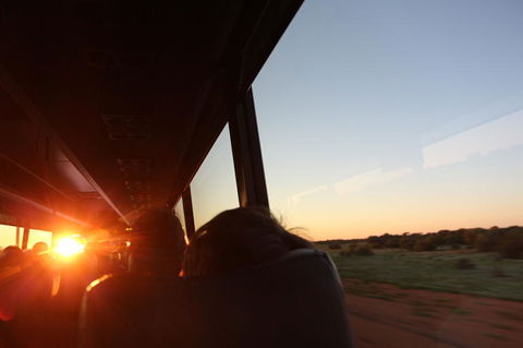 Kings Canyon Day Trip From Ayers Rock - Accommodation Brisbane 22