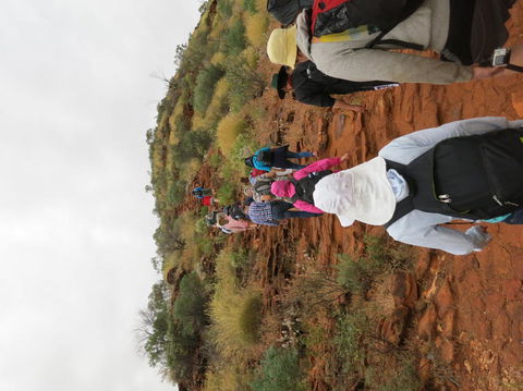Kings Canyon Day Trip From Ayers Rock - Accommodation Brisbane 14