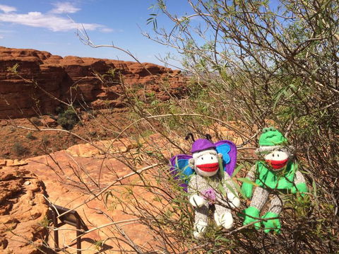 Kings Canyon Day Trip From Ayers Rock - Accommodation Brisbane 23