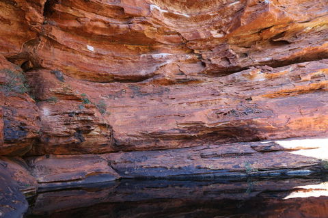 Kings Canyon Day Trip From Ayers Rock - Accommodation Brisbane 16