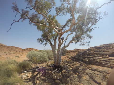 Kings Canyon Day Trip From Ayers Rock - Accommodation Brisbane 3