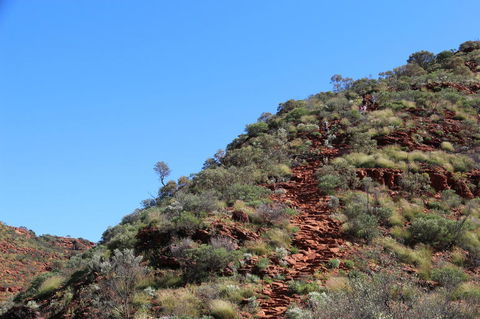 Kings Canyon Day Trip From Ayers Rock - Accommodation Brisbane 21