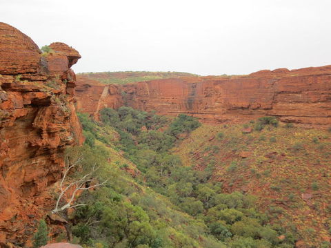 Kings Canyon Day Trip From Ayers Rock - Accommodation Brisbane 13
