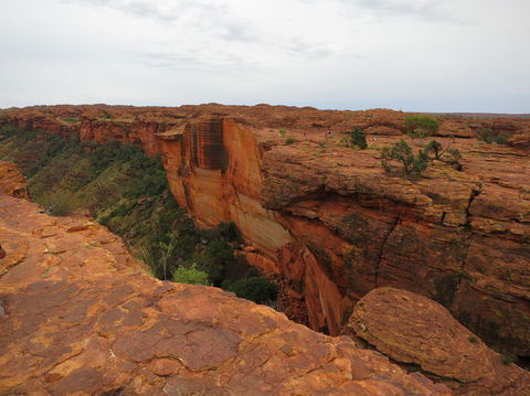 Kings Canyon Day Trip From Ayers Rock - Accommodation Brisbane 10