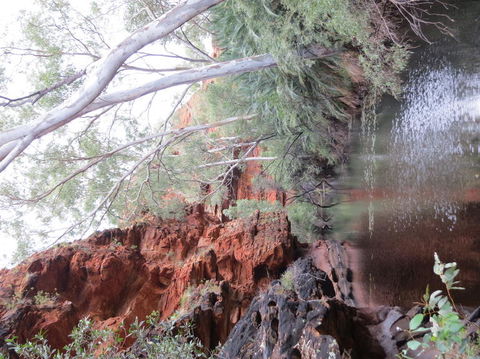 Kings Canyon Day Trip From Ayers Rock - Accommodation Brisbane 11