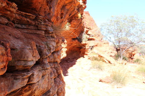 Kings Canyon Day Trip From Ayers Rock - Accommodation Brisbane 20