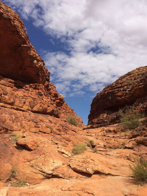 Kings Canyon Day Trip From Ayers Rock - Accommodation Brisbane 25