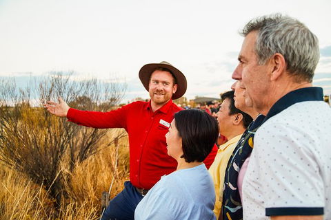 Uluru (Ayers Rock) Sunset With Outback Barbecue Dinner And Star Tour - Accommodation Brisbane 22