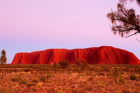 Uluru Small Group Tour Including Sunset - Accommodation Brisbane 1