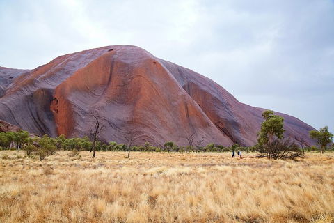 Uluru Base And Sunset Half-Day Trip With Optional Outback BBQ Dinner - Accommodation Brisbane 10