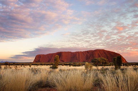 Uluru Base And Sunset Half-Day Trip With Optional Outback BBQ Dinner - Accommodation Brisbane 15