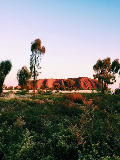 Uluru & Kata Tjuta Sights & Sounds - Accommodation Brisbane 3