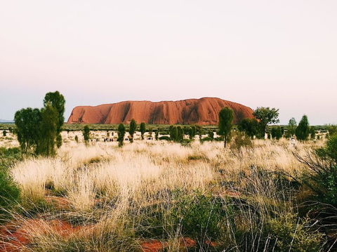 Uluru & Kata Tjuta Sights & Sounds - Accommodation Brisbane 4