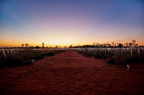 Uluru & Kata Tjuta Sights & Sounds - Accommodation Brisbane 16