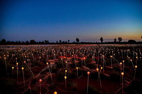 Uluru & Kata Tjuta Sights & Sounds - Accommodation Brisbane 8