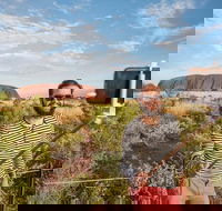 3-Day Ayers Rock and Kings Canyon Camping Tour - Accommodation Brisbane