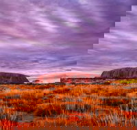 4-Day Camping Trip from Ayers Rock Including Uluru Kata Tjuta and Kings Canyon - Accommodation Brisbane