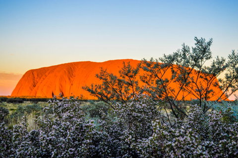 Uluru Sunrise And Kata Tjuta Half Day Trip - Accommodation Brisbane 2