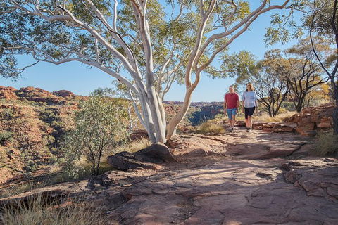 Coach Transfer From Kings Canyon To Alice Springs - Accommodation Brisbane 8