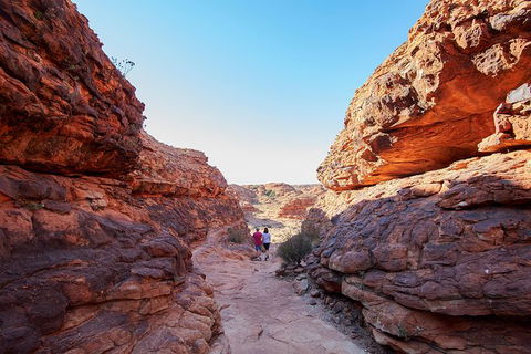 Coach Transfer From Kings Canyon To Alice Springs - Accommodation Brisbane 7