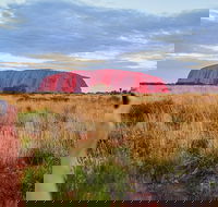 2-Day Uluru Ayers Rock National Park Explorer Trip from Alice Springs - Accommodation Brisbane