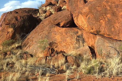 Aboriginal Homelands Experience From Ayers Rock Including Sunset - Accommodation Brisbane 9