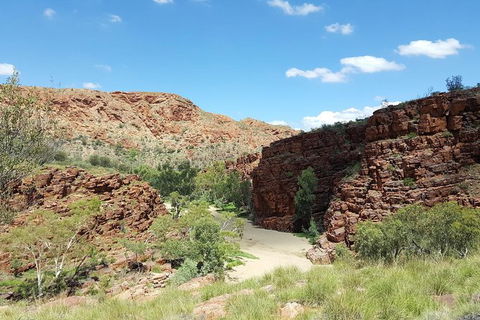 East MacDonnell Ranges 1 Day 4WD Tour - Accommodation Brisbane 2