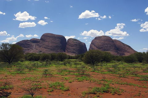 Uluru (Ayers Rock) And The Olgas Tour Including Sunset Dinner From Alice Springs - Accommodation Brisbane 0