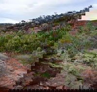 Palm Valley and Hermannsburg 1 Day 4WD Tour - Accommodation Brisbane