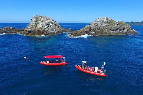 3-Hour Sea Turtle Snorkeling Experience In Byron Bay - Accommodation Brisbane 8