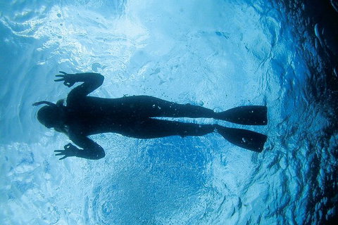 3-Hour Sea Turtle Snorkeling Experience In Byron Bay - Accommodation Brisbane 9