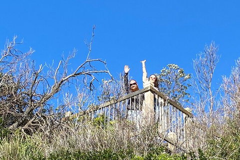 The Eurobodalla Experience (Full Day Private Tour Including Lunch) - Accommodation Brisbane 21