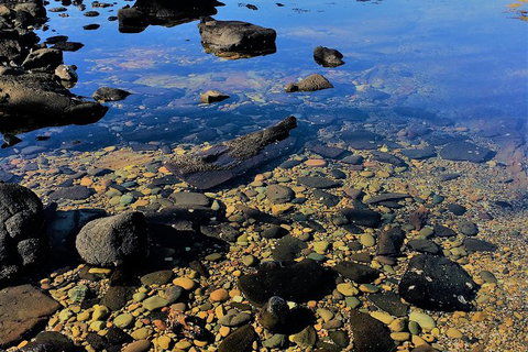 The Eurobodalla Experience (Full Day Private Tour Including Lunch) - Accommodation Brisbane 14