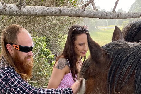 The Eurobodalla Experience (Full Day Private Tour Including Lunch) - Accommodation Brisbane 23