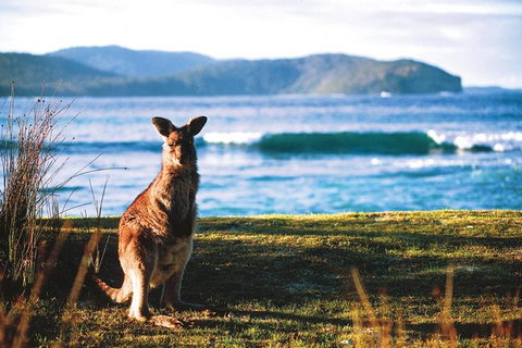 The Eurobodalla Experience (Full Day Private Tour Including Lunch) - Accommodation Brisbane 7