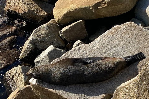 The Eurobodalla Experience (Full Day Private Tour Including Lunch) - Accommodation Brisbane 8