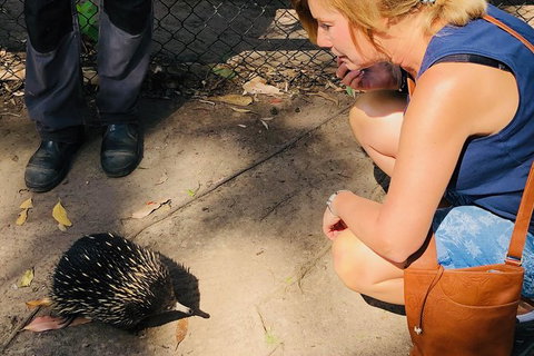 The Eurobodalla Experience (Full Day Private Tour Including Lunch) - Accommodation Brisbane 18