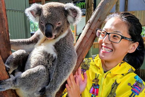 Wildlife Waterfalls And Wine Day Tour From Sydney - Accommodation Brisbane 0