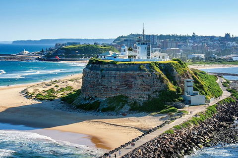 Newcastle And Central Coast Private Shore Excursion | Departs Newcastle Port - Accommodation Brisbane 12